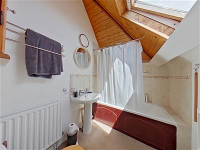 Picture 7